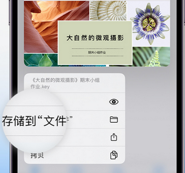 白茅湖农场apple维修中心分享iPhone文件应用中存储和找到下载文件