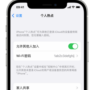 白茅湖农场apple服务站点分享iPhone上个人热点丢失了怎么办 