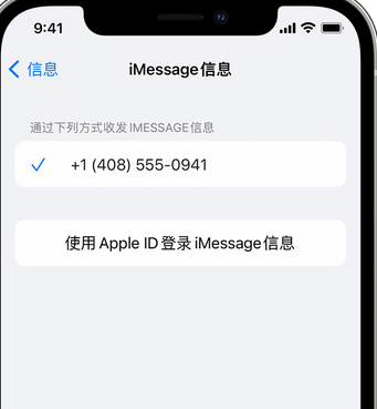 白茅湖农场apple维修iPhone上无法正常发送iMessage信息 