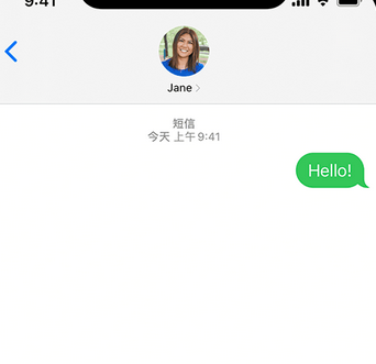 白茅湖农场apple维修iPhone上无法正常发送iMessage信息