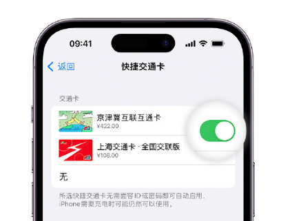 白茅湖农场apple维修点分享iPhone上更换Apple Pay快捷交通卡手绘卡面 