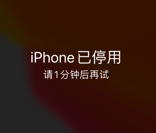 白茅湖农场苹果手机维修分享:iPhone 显示“不可用”或“已停用”怎么办？还能保留数据吗？ 