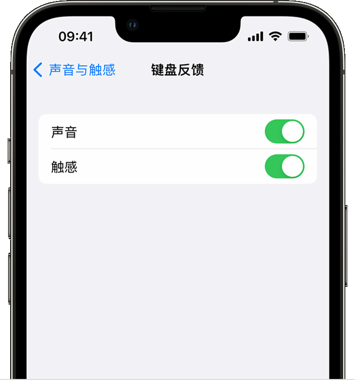 白茅湖农场苹果14维修店分享如何在 iPhone 14 机型中使用触感键盘 