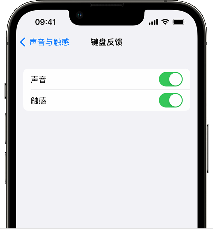 白茅湖农场苹果14维修分享iPhone 14 系列机型如何开启键盘声音或触感反馈 