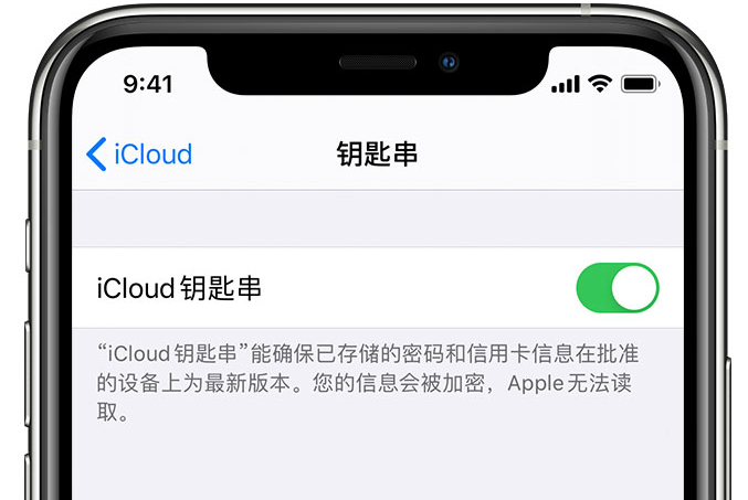 白茅湖农场苹果手机维修分享在 iPhone 上开启 iCloud 钥匙串之后会储存哪些信息 