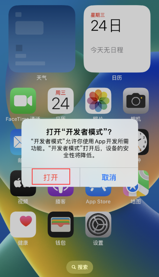 白茅湖农场苹果手机维修分享如何打开开发者模式 