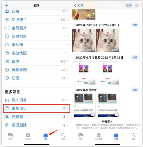 白茅湖农场苹果手机维修分享iOS 16 中相册重复项目功能使用方法 