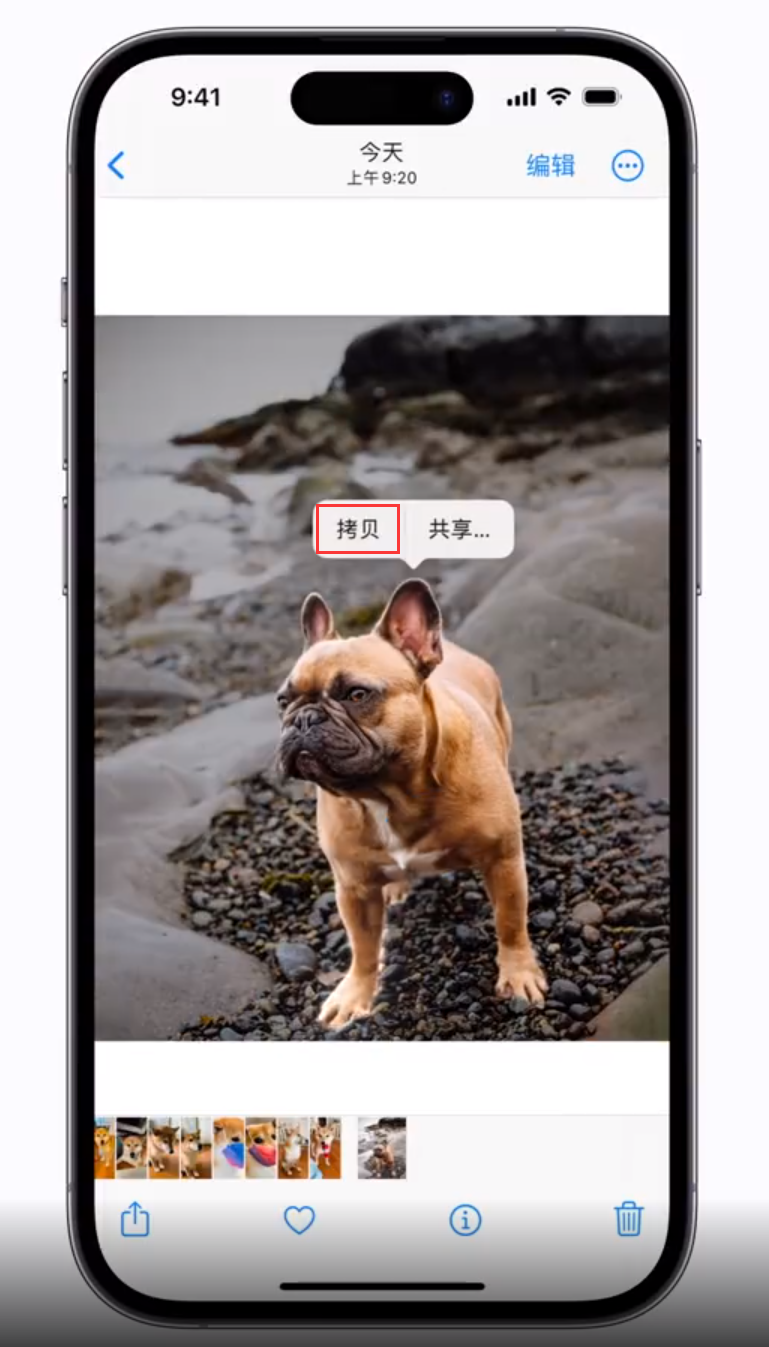 白茅湖农场苹果手机维修分享 iOS 16 自带一键抠图功能 
