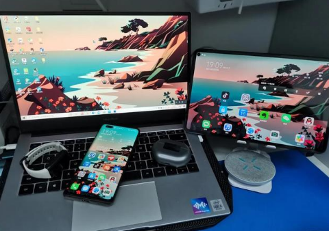 白茅湖农场苹果手机维修分享为什么iPad屏幕更大价格却比iPhone低 
