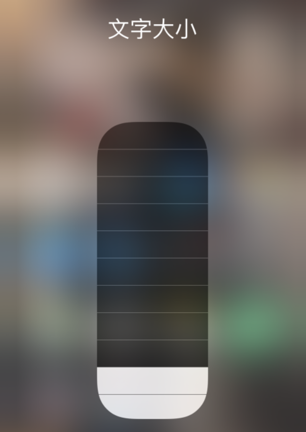 白茅湖农场苹果手机维修分享小技巧：在 iPhone 控制中心快速调节字体大小 