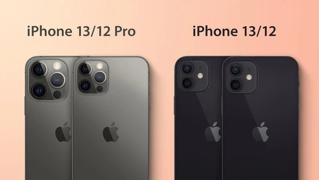 白茅湖农场苹果手机维修分享iPhone 13 摄像头长什么样 