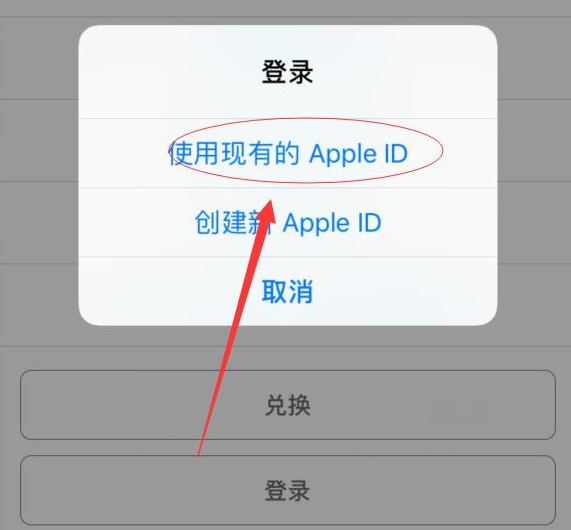 白茅湖农场苹果手机维修分享两台iPhone设备可以同时登录一个Apple ID吗 