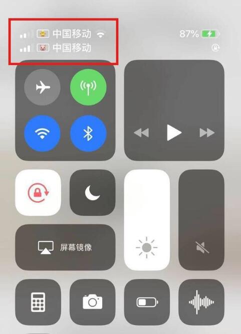 白茅湖农场苹果手机维修分享为 iPhone 12 双卡设置标签 