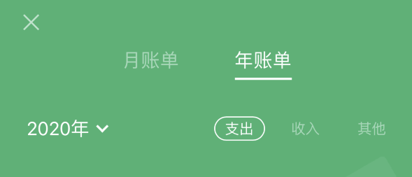 白茅湖农场苹果手机维修分享如何在 iPhone 上查看支付宝和微信年支出账单 