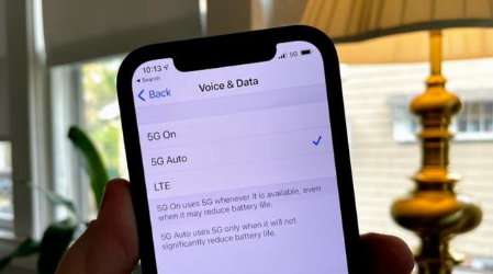白茅湖农场苹果手机维修分享iPhone 12如何打开或关闭5G网络 
