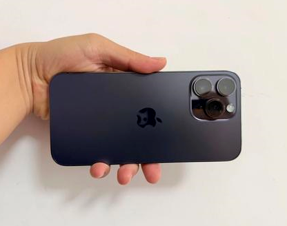 白茅湖农场苹果维修点分享iPhone 14 Pro Max发烫多重诱因剖析 